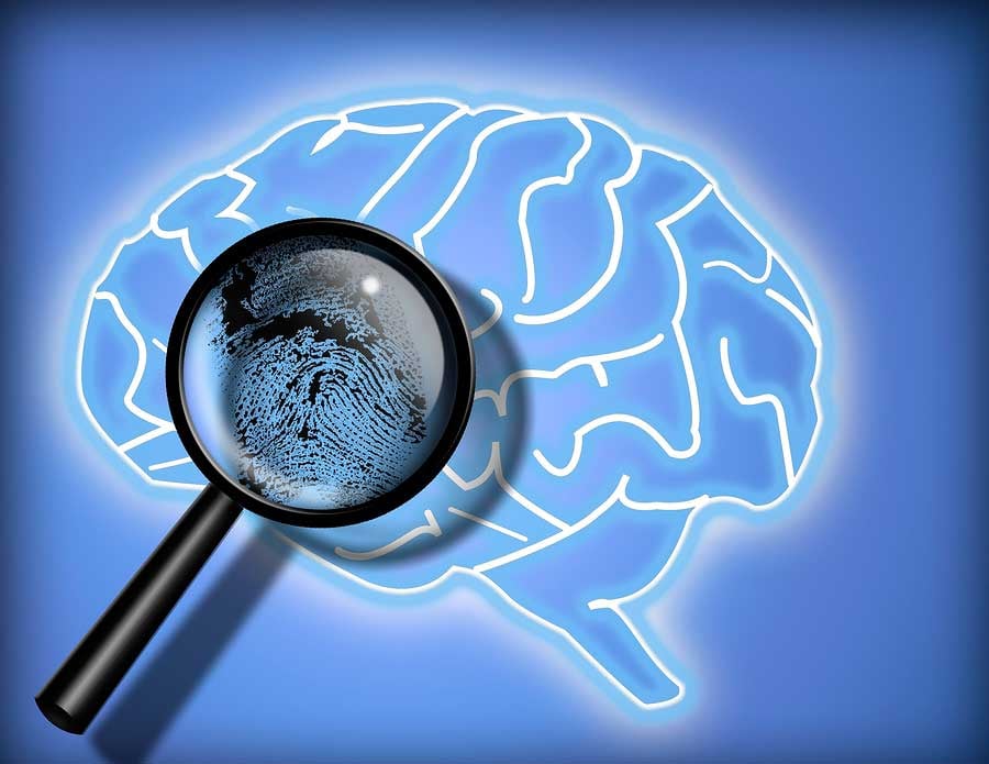cerebro-huella-forense cerebro-huella-forense